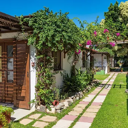 Hotel Gaia Garden Kos Town